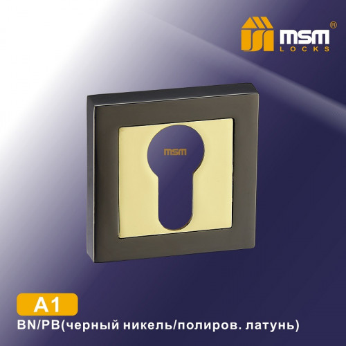 Накладка-фиксатор A1 Черный Никель / Полированная латунь (BN/PB)