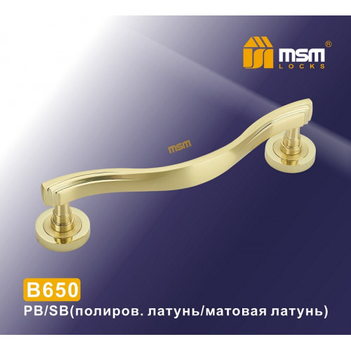 Ручка скоба B650 PB/SB