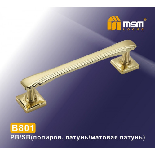 Ручка скоба B801 PB/SB